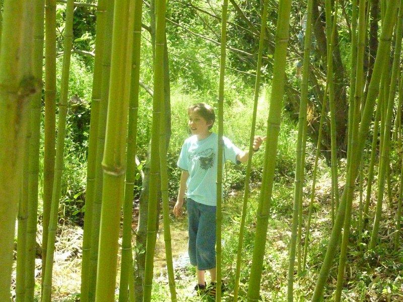 P1020852 [1600x1200].JPG